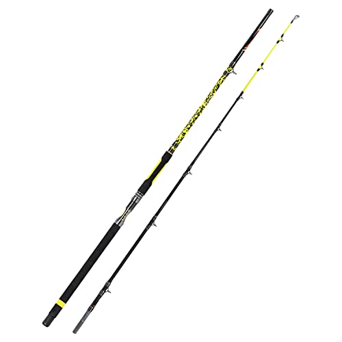 Fiblink Catfish Fishing Rod 2 Piece Cat Catfish Rod Portable Travel Heavy Cat Catfishing Fishing Pole 10' #TOP1