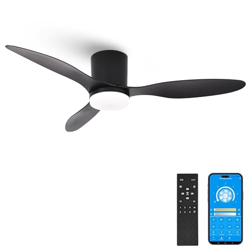 Parrot Uncle Ventilador Techo con Luz LED y Control por App, 106cm en Negro, Silencioso Motor DC, 48W, 3 Aspas, Mando y Temporizador (Negro con APP) Parrot Uncle Ventilador Techo con Luz LED y Control por App, 106cm en Negro, Silencioso Motor DC, 48W, 3 Aspas, Mando y Temporizador (Negro con APP)