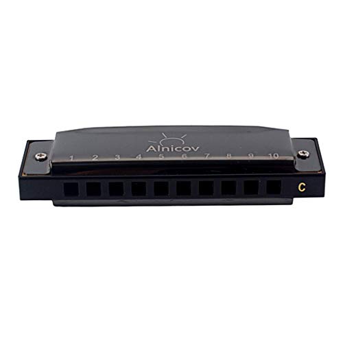Harmonica 10 trous 20 mélodies orgue à bouche avec étui rigide et chiffon de soin - 3