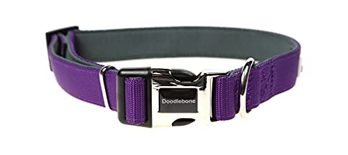 Doodlebone, Padded Dog Collar, Adjustable Breathable Comfort Collar with Reflective Stitching - Image 2