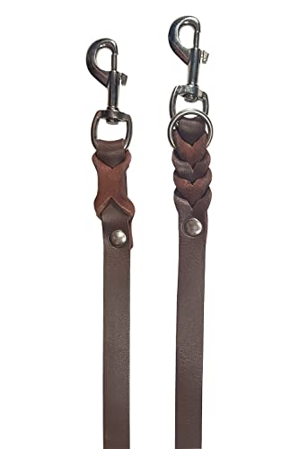 VlaMiTex D2 Freihandleinen Hundeleine Leder Hunde Führleine Fettlederleine Verstelbar 6 Farben (Braun, 2 x 250 cm)