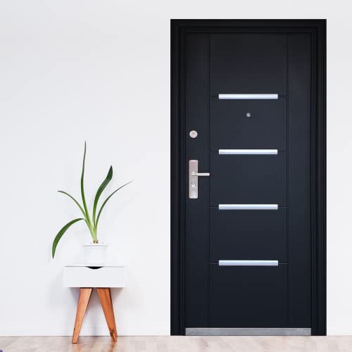 Puerta de tambor exterior Marca Protecto Home (2)