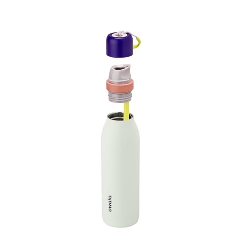 Image of Owala FreeSip Twist Insulated Stainless Steel Water Bottle with Straw for Sports and Travel, BPA-Free, 18-oz, Purple /Mint (Minty Horizon)