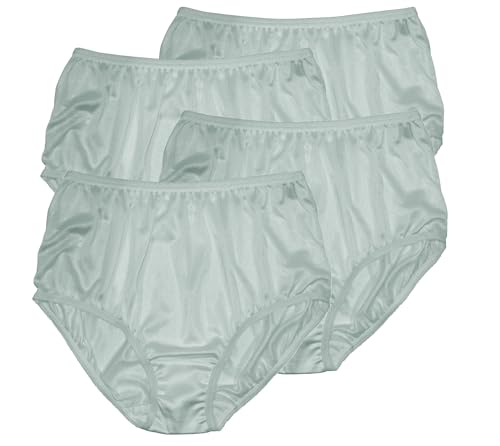 Image of Teri Women's 331 Plain Jane Classic Nylon Silky-Smooth Lightweight Breathable Full Coverage Brief Panty - 4 Pack