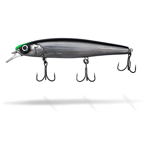 Quantum Limited No 1 Zander