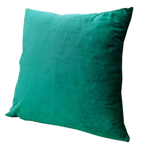 Housse de coussin vert pour rénover un canapé fatigué ou usé