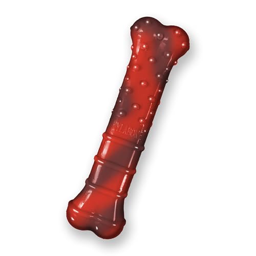 Nylabone Masticabile texturizzato al Manzo essiccato per mascelle Forti Textured Beef Jerky Power Chew | Giocattolo masticabile per Cani per mascelle Estreme | Small | per Cani Fino a 11 kg