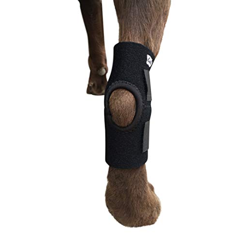 Labra Co. Dog Canine Rear Leg Hock Joint Wrap Protects Wounds as They Heal Compression Brace Heals and Prevents Injuries and Sprains Helps Arthritis (Small)