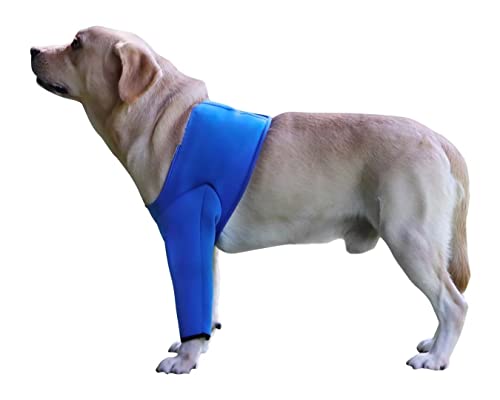 Hunde-Genesungsanzug Für Vorderbein Rechts – Alternative Zum Kegel, Weicher Schutzärmel Nach OP