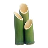 Polyvalent : convient comme centre de table, composition ou objet décoratif pour divers événements, pots de fleurs originaux, vases pour plantes