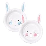 Cheerland Bunny Birthday Paper Plates in Pink and Blue Rabbit Party Decoration for Gender Reveal Baby Shower Easter Egg Hunt Themed Party Supplies Spring Garden Tea Party Decorations 24 Pcs