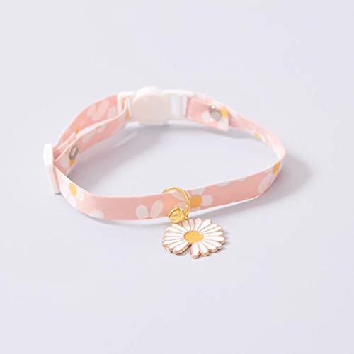 SUNCN L̎փybg̎֌̔LybgpiANZT[-J_S