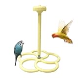 Perchoir à oiseaux – Perchoir rotatif interactif, support d'enrichissement de cage | Moulin à vent rotatif dynamique pour la maison et l'intérieur, calopsitte, perruche, canari, pigeon, amant