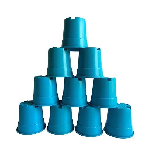 Image of Indian Gardens - 4 inch Indoor (Pack of 10) Plastic Small Colour pots | Plastic Plant Pot for Terrace Garden (Blue)
