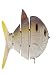 Spro SB40 BBZ1 Slow Sinking Swim Bait-Pack of 1