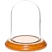 Plymor 3" x 4" Glass Display Dome Cloche (Oak Veneer Base)