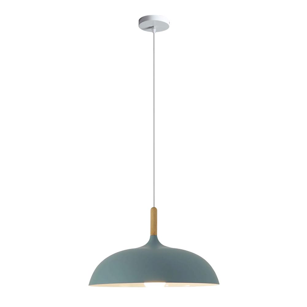Lampada a Sospensione in Metallo a Testa Singola Regolabile in Altezza