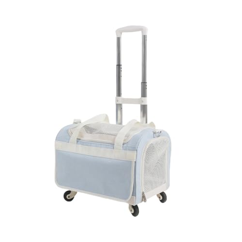 Klivex L L[obO ybg 傫 y 2Cp e [ LX^[t  o  L 4 2C L [P[X 萫 ʋC  [ bN e hCu s O ЊQp (u[,gbvobO+^Cb