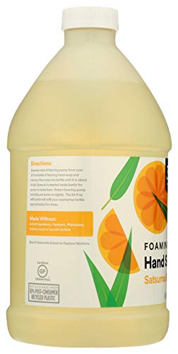 Image of 365 by Whole Foods Market, Hand Soap Foaming Satsuma Eucalyptus Refill, 64 Fl Oz (Pack of 2)