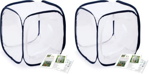 Image of Insect and Butterfly Habitat Cage Terrarium Pop-up 12 X 12 X 12 Inches (Pack of 2)