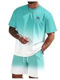 RoseSeek Men's Short Sets 2 Piece Outfits Tropical Graphic Tees and Shorts Sets Beach Vacation Outfits Blue and White L