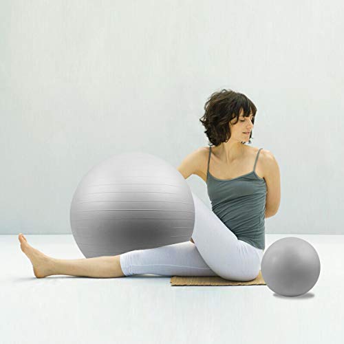 バランスボールを購入レビュー 小さいサイズは赤ちゃんに ねんごたれログ