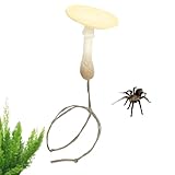 Habitat polyvalent : les accessoires d'habitat pour araignées sauteuses offrent une compatibilité universelle avec les enclos standard, s'adaptant facilement à des configurations et habitudes variées, permettant aux passionnés de créer des espaces de vie flexibles adaptés pour répondre aux besoins dynamiques des araignées actives dans plusieurs styles de terrarium.