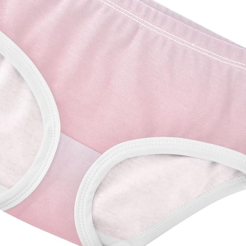 Joisal Bright Toddlers Underwear Floral 2t Cotton Girl Panties Cute Magnolia Shell Pink Gradient Briefs Undies Kids4