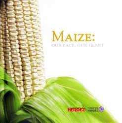 Maize: Our Face, Our Heart