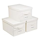 Fordonral 3 Pcs Closet Storage Bins with Lids & Lable & Handles, 15' 22 Quart Collapsible Fabric Stackable Storage Bin Cube Organizer Lidded Organizing Boxes Storage Containers