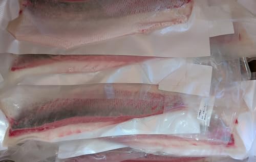 冷凍ぶりまさロイン 愛媛県産 宇和島海道製造 5kg×2 合計10kg 業務用 ぶり×ひらまさ交雑種 ロインカット