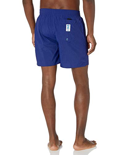 ARENA Men's Standard Mark Spitz Exclusive Boxer Beach Shorts Swim Trunks2