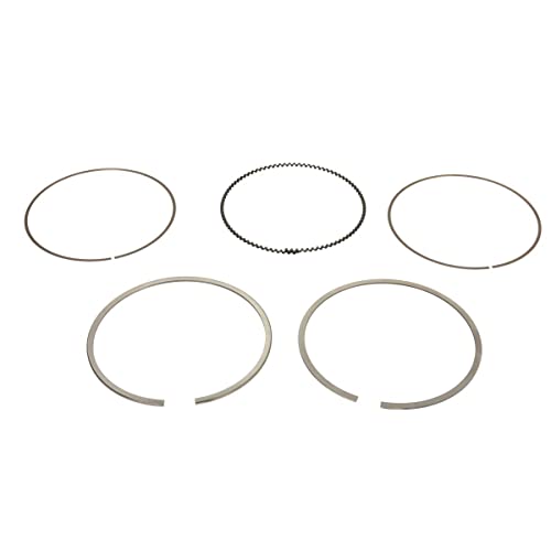 Pistons et anneaux 800113810000