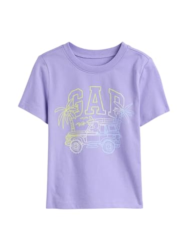 GAP Baby-Boys Short Sleeve Graphic Tee Warm Violet 568 2YRS