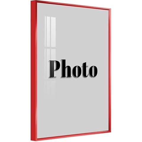 anheqiao 12x16 Metal Picture Frame Cover