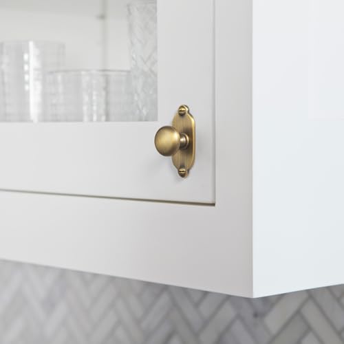 Image of Goo-Ki Brushed Brass Bronze Zinc Alloy Cabinet Knob with Backplate - Single Hole Center Cabinet Pull Hardware for Bedroom, Kitchen, 6 Pack(8611-G013)