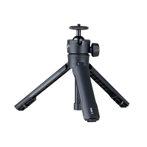 }`foCXOr 3 ZNV Selfie XeBbNA~\ʐ^Bep߉\OJOrrB