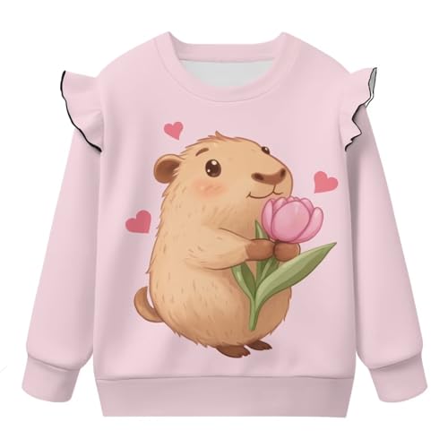 Toddler Girl Sweatshirt Long Sleeve Drop Shoulder Pullover Tops Casual T-Shirt