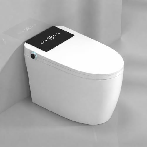 Loniko Smart Toilet with Bidet