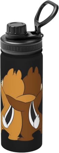 チップとデール アニメ 水筒 真空断熱 保温 保冷 スポーツボトル 人気 ステンレスボトル スポーツ飲料対応 漏れない 直飲み530ml 男の子 女の子 おしゃれ 大人 子供 グッズ キャラクター 誕生日 プレゼント AD181