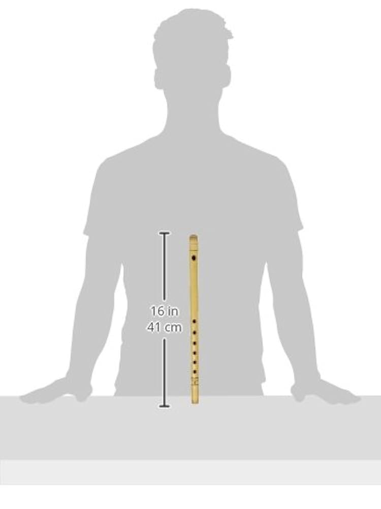 Amazon.co.jp: 大岡紫水 篠笛 獅子田籐巻 6穴 6本調子 : 楽器