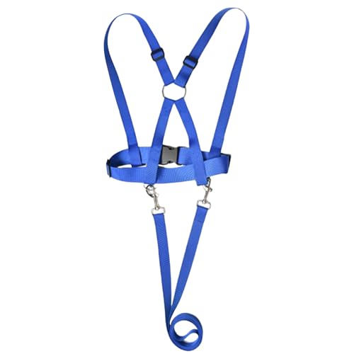 LbYn[lX | Oł̎q̈Sm - qh~|[^ucpj Lv U s oRɍœK