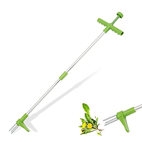 Désherbant définitif la solution ultime pour un jardin sans mauvaises herbes