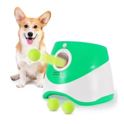 {[`[A^ђ^pvX`bN{[`[A{[`[C^NeBuybg{[@OpQ[ (O[)