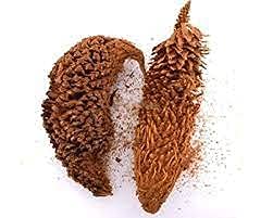 மதனகாமப்பூ / Madhanakama Poo / Queen Sago / Jangli Madanmust Ka Phul 200g by Amirtham Organic Foods-picture-15
