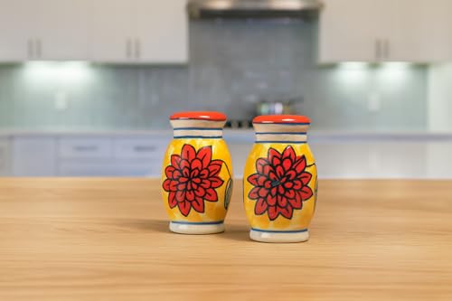 Image of HS HINDUSTANI SAUDAGAR Phoolkari Spice Salt and Pepper Ceramic Salt Shaker dispensers Set of 2(50ml Each) Spice Container & Sprinkler for Dinning Table Kitchen Ideal for Home Daily use and Gifting.