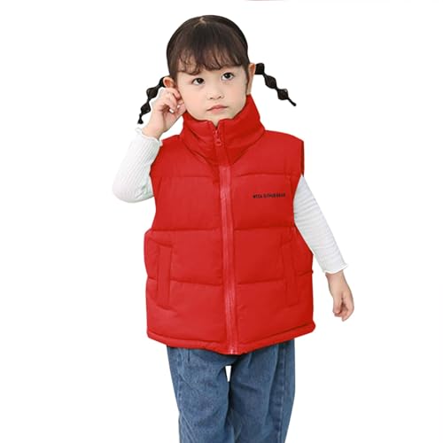 Boys Girls Puffer Vest Sleeveless Stand Collar Zip up Cotton Padded Lightweight Winter Warm Kids Outwear Coats