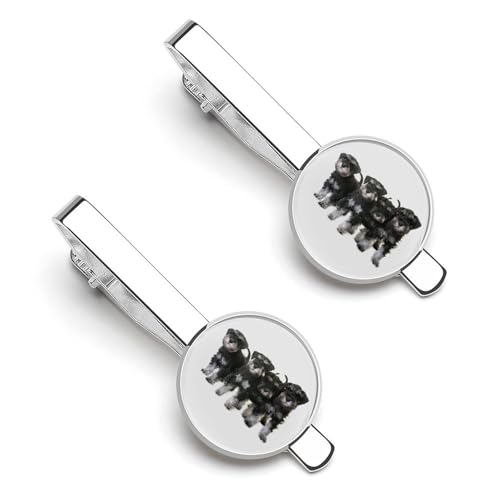 lN^Cs 2{Zbg ViEU[  ^C^bN ߑANZT[ am   w d rWlX  ̓ Y j v[g