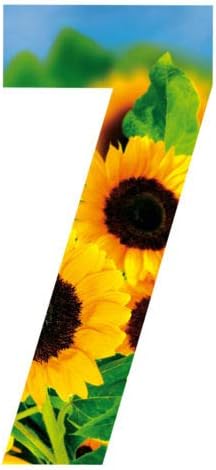 MONOGRAM Classic Signsx3 Wheelie Bin Number Sunflower 7