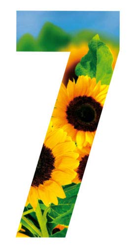 MONOGRAM Classic Signs x3 Wheelie Bin Number Sunflower 7